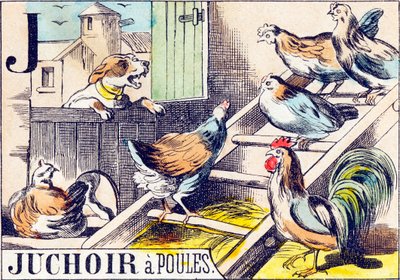 J Juchoir a poules - "农场的字母表" 19世纪末（雕版画 作者 不明
