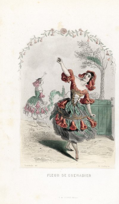 La fee de la fleur de grenade danse - Charles Geoffroy（1819-1882 年）根据 Jean Ignace Isidore Gerard dit J.J.J.Granville（1803-1847 年）为 Les fleurs animees 创作的插图绘制的蚀刻版画 作者 未知艺术家