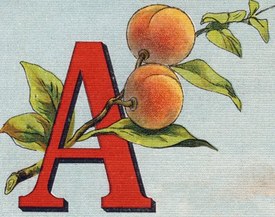 字母A：杏。 雕刻“Alphabet de ma petite fille”。 Bernardin-Bechet 和 Fils，书商出版商，巴黎，约 1895 年。坚不可摧的画布专辑。 贝贝斯图书馆。 12 页。 包含阅读方法和说明的相册 作者 不明