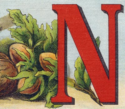字母 N：榛子。 雕刻“Alphabet de ma petite fille”。 Bernardin-Bechet 和 Fils，书商出版商，巴黎，约 1895 年。坚不可摧的画布专辑。 贝贝斯图书馆。 12 页。 包含阅读方法和说明性 abec 的专辑 作者 不明