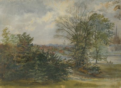 利奇菲尔德-遥远的景色：油画，nd [？19th cent] 作者 不明