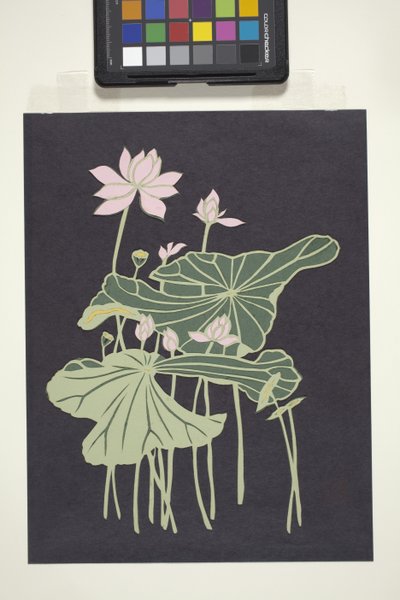 莲花（彩色剪纸） 作者 未知艺术家