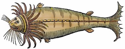 海洋生物，选自 "Paralipomena accuratissima historiae omnium animalium quae in voluminibus Aldrovandi desiderantur/Bartholomaeus Ambrosinus... summo labore collegit; Marcus Antonius Berna bibliopola bononiensis propriis sumptibus i "的木刻版画。 作者 未知艺术家