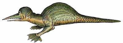 海龙（Draco marinus），Xylography 摘自 "Paralipomena accuratissima historiae omnium animalium quae in voluminibus Aldrovandi desiderantur/Bartholomaeus Ambrosinus... summo labore collegit; Marcus Antonius Berna bibliopola bononiensis propri"。 作者 未知艺术家