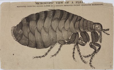 Microscopy 作者 不明