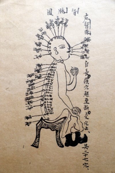 越南传统医学博物馆，经脉，针灸书，越南胡志明市 作者 不明