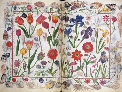 Philipp Hainhofer专辑Amicorum的页面，1596-1633年 作者 不明