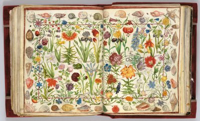 Philipp Hainhofer专辑Amicorum的页面，1596-1633年 作者 不明