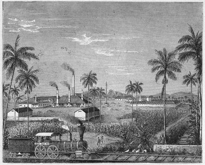 古巴甘蔗种植园，约 1880 年（雕刻） 作者 未知艺术家