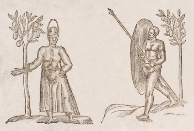 Rex sinus Antongil & Miles sinus Antongil 作者 不明