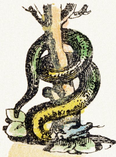 S-蛇-儿童娱乐字母c.1890年（石版画） 作者 不明
