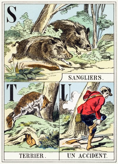 S T U ：Sanglier，Terrier，意外 - The Hunting Alphabet，c.1890（雕刻） 作者 不明