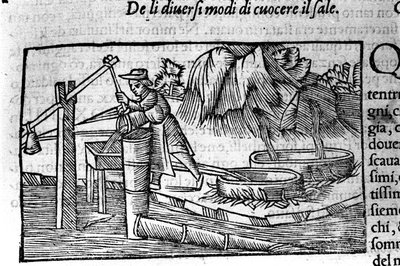 制盐、烹调。 Olaus Magnus (1490 - 1557) 的蚀刻，瑞典宗教和地理主题，“北方描述”，威尼斯 作者 不明