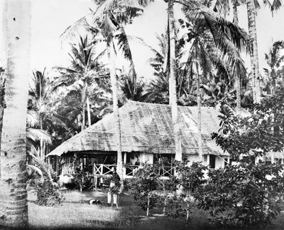 新加坡：棕榈树环绕的私人洋房。 新加坡，c1875 作者 不明