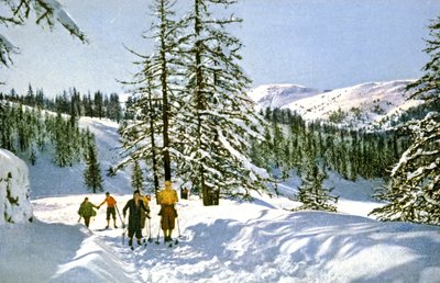 法国里维埃拉的滑雪远足，约 1930 年（明信片） 作者 未知艺术家