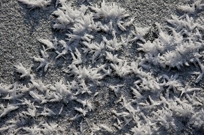 冰雪（摄影） 作者 未知艺术家