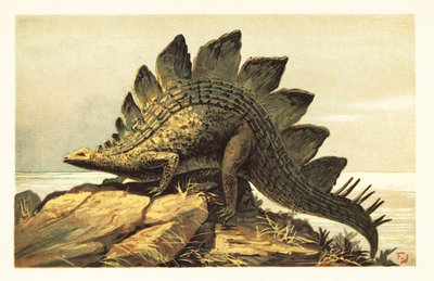 剑龙，已灭绝的食草恐龙属。1908 年（石版画） 作者 未知艺术家