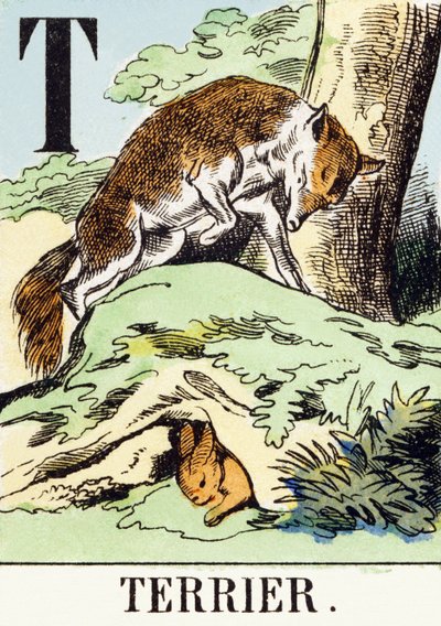 T : Terrier - The Hunting Alphabet，c.1890（雕刻） 作者 不明