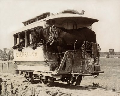 谢尔林马车，科罗拉多州丹佛，约1890年（黑白照片）。 作者 尼古拉斯·利兹