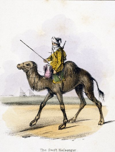 《迅捷的信使》，约 1845 年 作者 未知艺术家