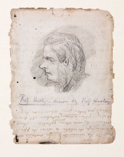 Thomas Henry Huxley, English biologist, mid-late 19th century 作者 不明