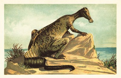 Trachodon mirabilis，已灭绝的鸭嘴龙恐龙。1908 年（石版画） 作者 未知艺术家