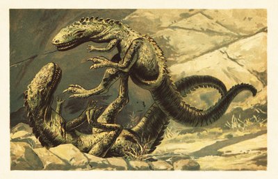 两只正在战斗的Dryptosaurus aquilunguis.1908（石版画） 作者 未知艺术家