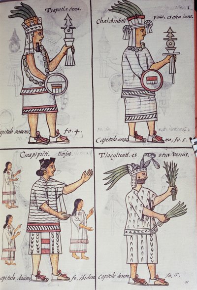 Tzapotlatena, Chalchiuhtlatonal, Cioapipitli and Tliltecuhtli, 佛罗伦萨抄本，西班牙语和纳瓦特尔语双语版本，《新西班牙事物通史》（Historia general de las cosas de Nueva Espana），Aztec 作者 未知艺术家