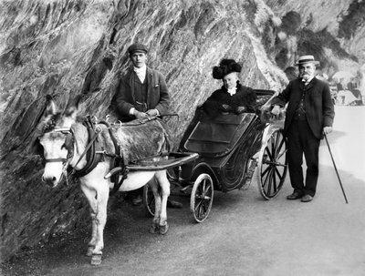英国：驴拉的无效马车。 1906年 作者 不明