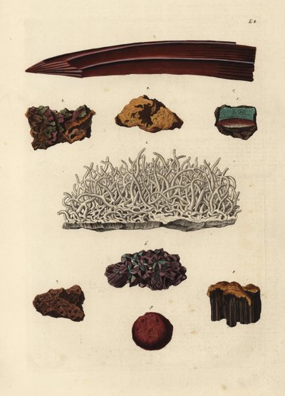 铁矿石的种类根据 Georg Wolfgang Knorr 的《Deliciae Naturae Selectae of Kabinet van Zeldzaamheden der Natuur》插图绘制的手工彩色铜版画，布鲁斯父子出版社，纽伦堡 作者 未知艺术家