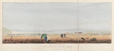 开普敦、桌湾和泰格贝格山（南非）景观。石版画（26.5x53.5 厘米），J.W. Burchell 绘 作者 未知艺术家