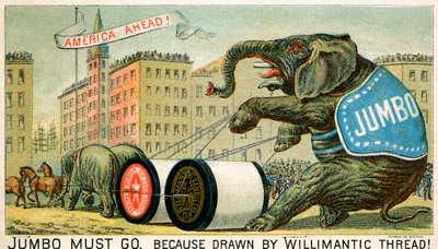 Willimantic Thread - 19 世纪末广告 作者 未知艺术家