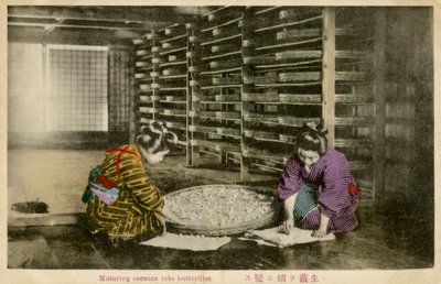 蚕茧成熟的妇女 作者 未知艺术家