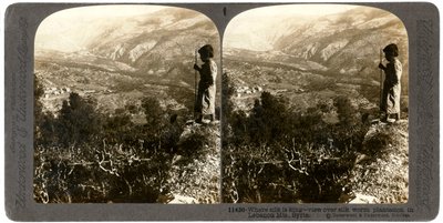 1900年代，叙利亚黎巴嫩山区的一个蚕桑种植园。 作者 安德伍德和安德伍德