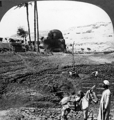 1905年，埃及阿西乌特（Assiut）诸侯的悬崖墓。 作者 安德伍德和安德伍德