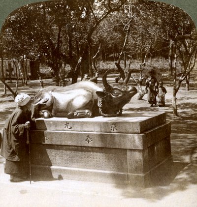 虔诚的女人抚摸一头铜牛以治愈风湿病，日本京都北野天神寺，1904年 作者 安德伍德和安德伍德