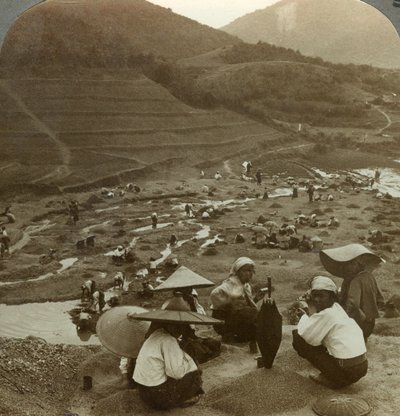 缅甸，莫高克，大约在1900年为红宝石挖河床。 作者 安德伍德和安德伍德