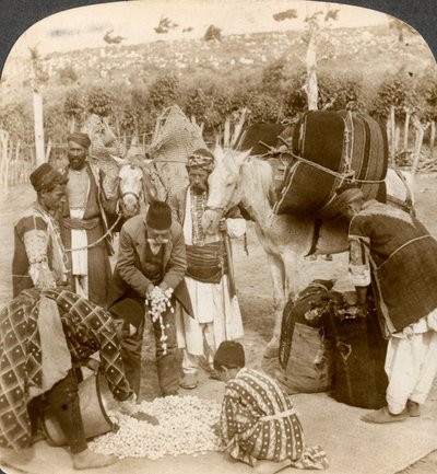 1900年代，专家购买了蚕茧，并出口到法国安提阿，叙利亚。 作者 安德伍德和安德伍德