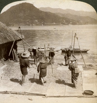 1904年，在日本内陆海域的渔滩旁挥舞着大麦。 作者 安德伍德和安德伍德