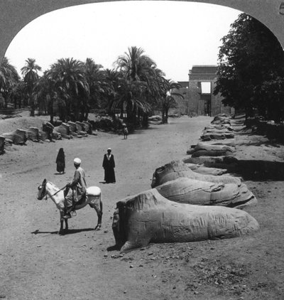 通往埃及底比斯卡纳克神庙的大大道，1905年。 作者 安德伍德和安德伍德
