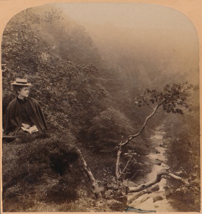 我给他勇敢，但随着勃克林斯的轰动一浪而疯狂-斯科茨湖夫人，1898年。 作者 安德伍德和安德伍德