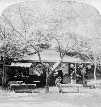 1896年，在花国的心脏地带，奈良，日本。 作者 安德伍德和安德伍德