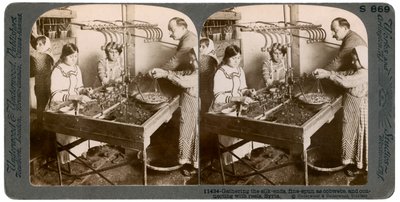 叙利亚制造丝绸，1900年代。 作者 安德伍德和安德伍德