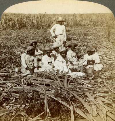 1899年，在古巴圣地亚哥省圣路易斯的拉联盟糖种植园上。 作者 安德伍德和安德伍德
