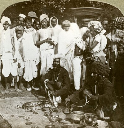 耍蛇人，印度加尔各答，1900年代。 作者 安德伍德和安德伍德