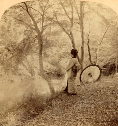 1896年日本的秋天的黄金日子。 作者 安德伍德和安德伍德