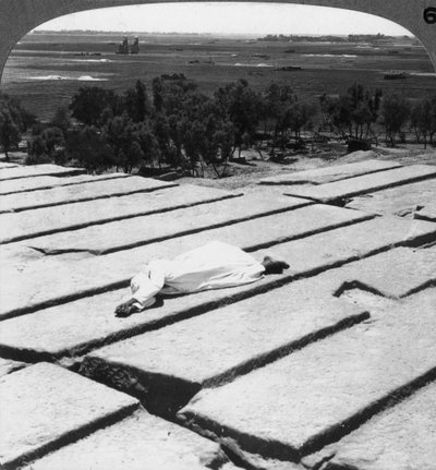 从埃及拉美西斯看到的底比斯和门农巨像的景色，1905年。 作者 安德伍德和安德伍德