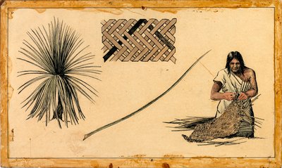 编织虞美人 作者 未确认