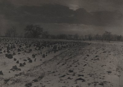 雪下的白菜田 作者 不明