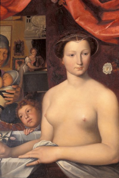 Indre＆Loire N * 328  -  Chateau dAzay-le-Rideau  -  Room 4“”Lady in the bath“”细节。 Karl Ernest Lehman（1814-1882）绘画，继Francois Clouet（1515-1572）之后 作者 不明
